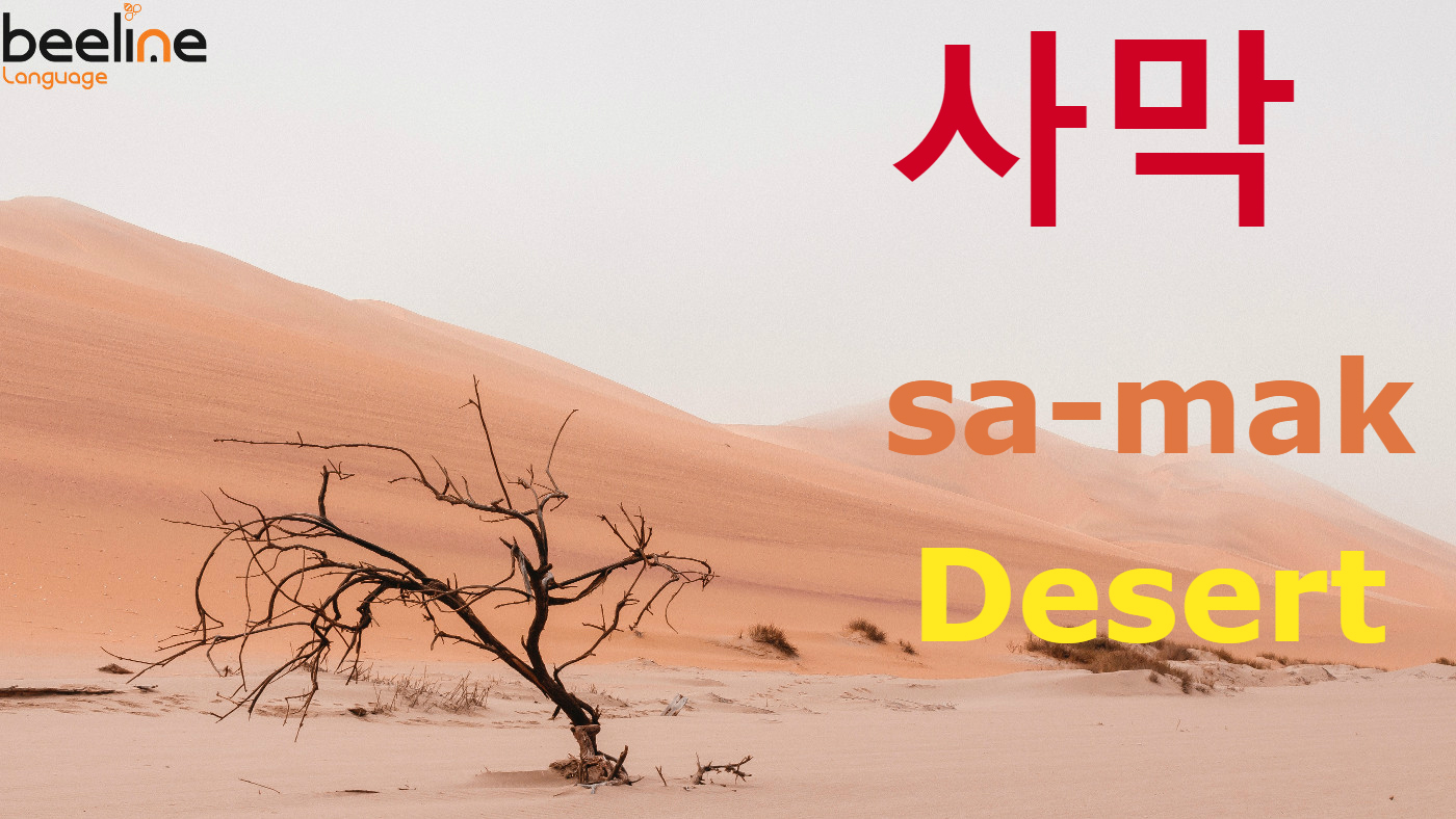 desert-in-korean-how-to-say-desert-in-korean-beeline-korean