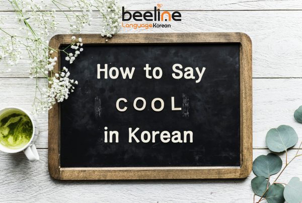 Cool In Korean