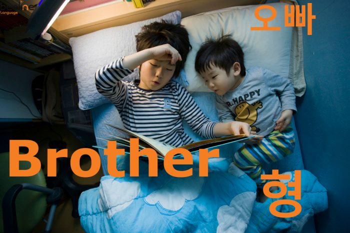 Brother in Korean: How to Say Brother in Korean - Beeline Korean