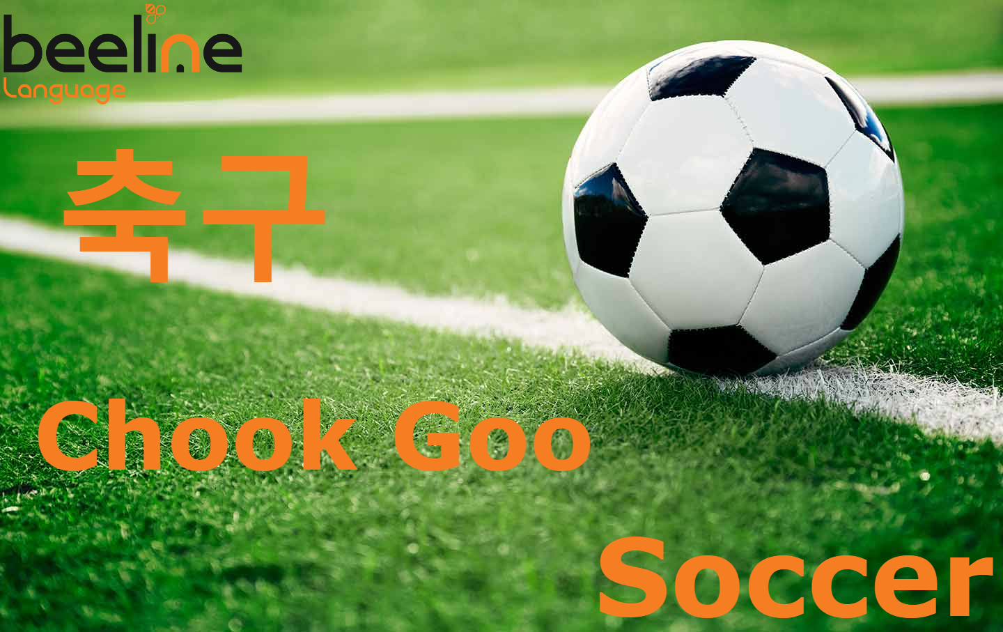 Soccer Football In Korean How To Say Soccer In Korean Beeline Korean