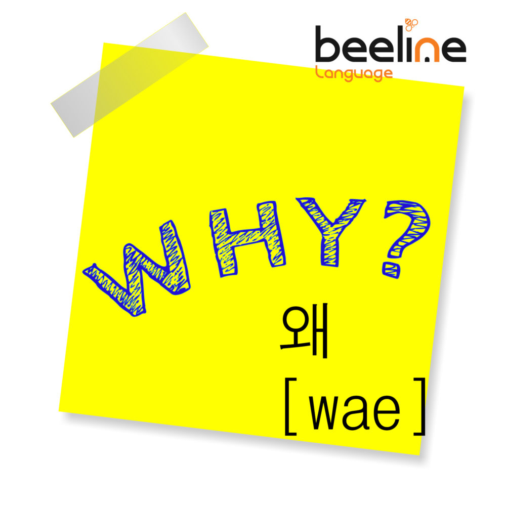 why-in-korean-how-to-say-why-in-korean-beeline-language-korean