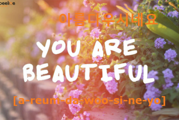you are beautiful in korean